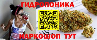 кокс Кимры