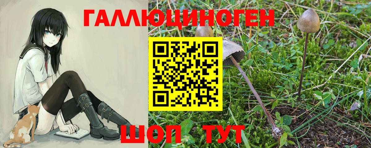 НБОМе  Вход с VPN  Героин  Купить  Красноярск  ГАШ  МАРИХУАНА  Мефедрон кристаллы  Экстази  COCAIN 
