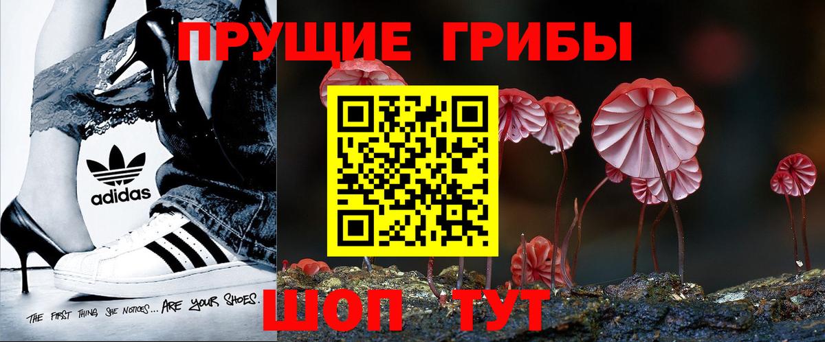 Красноярск  Псилоцибиновые грибы MAGIC MUSHROOMS  Вход с VPN 
